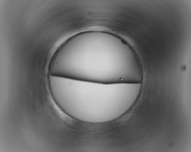 X0000111211430200907011433