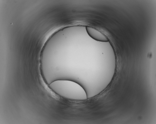 X0000111211431200907011433