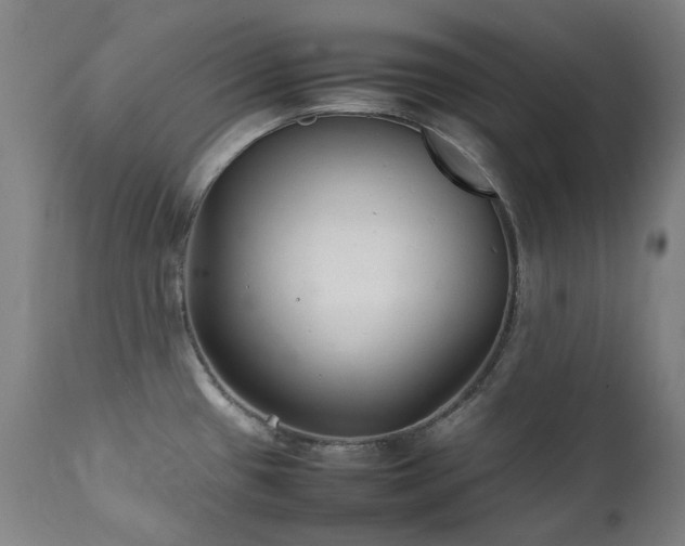 X0000111211433200907011433