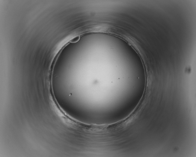 X0000111211434200907011433