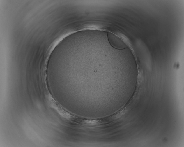 X0000111211435200907011433