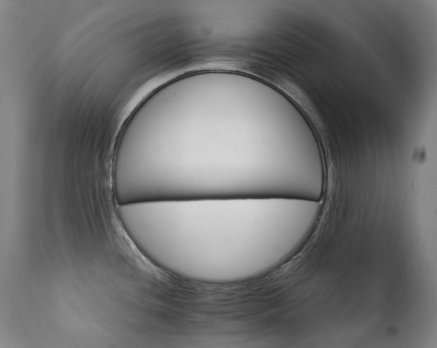 X0000111211436200907011433