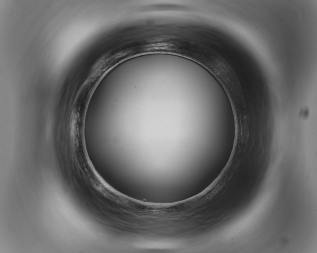 X0000111211438200907011433