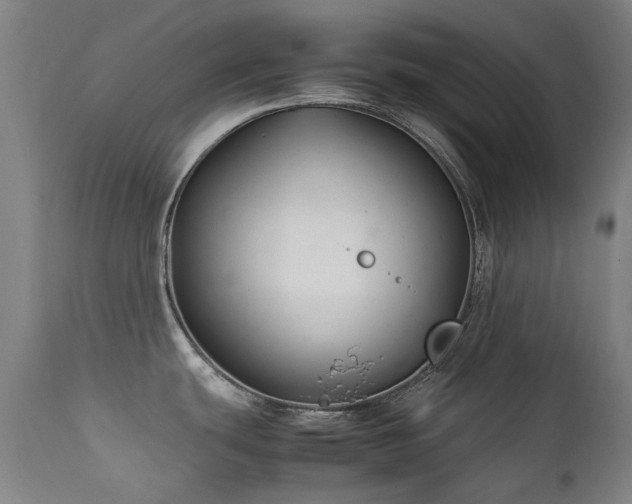 X0000111211439200907011433