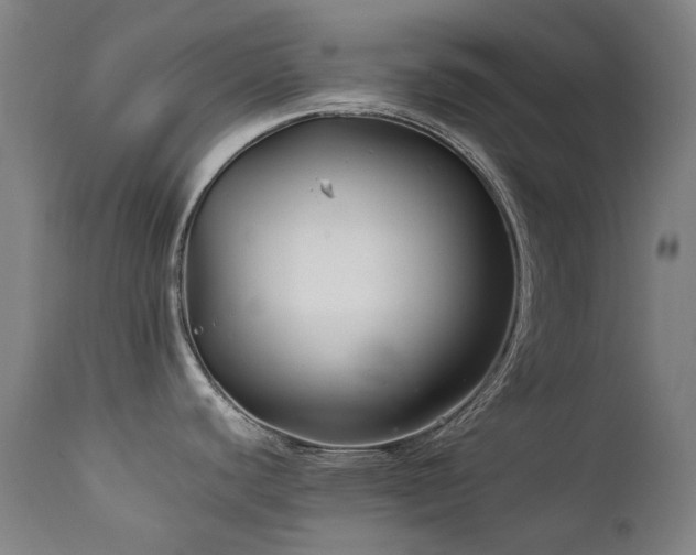 X0000111211440200907011433