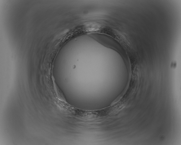 X0000111211441200907011432