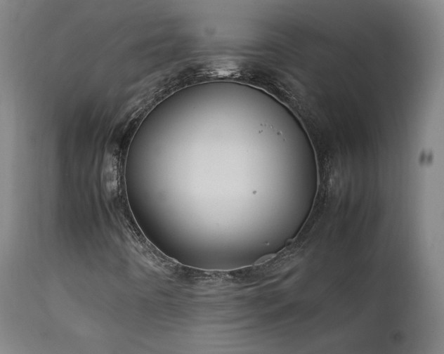 X0000111211442200907011432