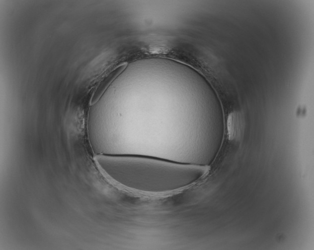 X0000111211443200907011432