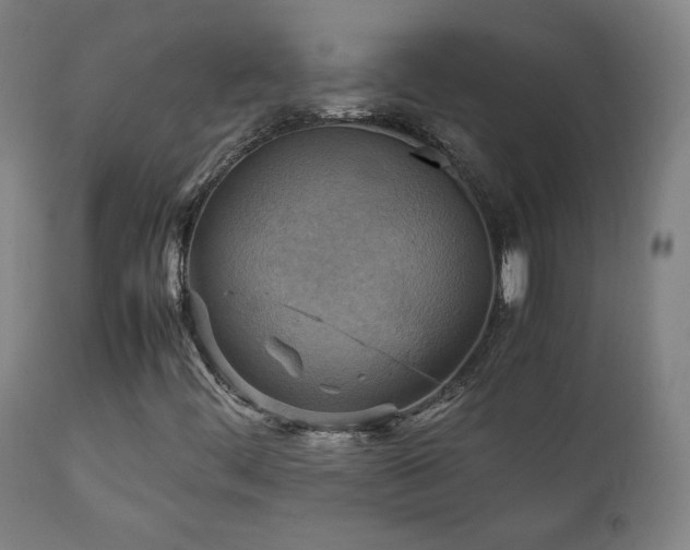 X0000111211444200907011432