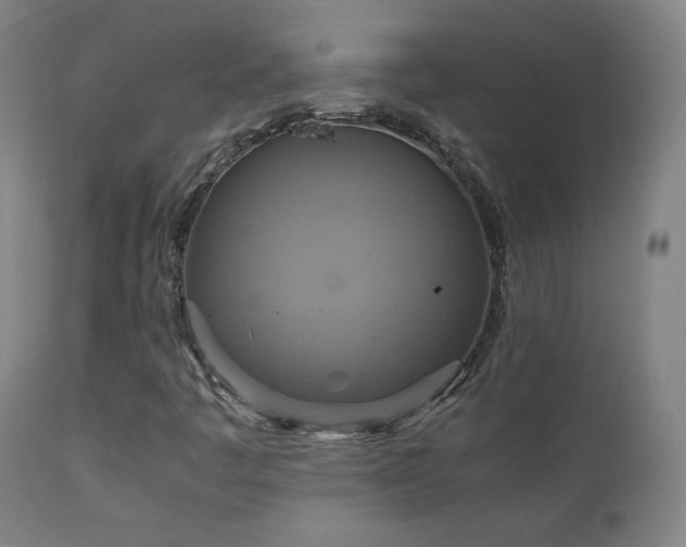 X0000111211445200907011432