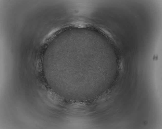 X0000111211446200907011432