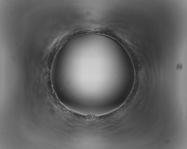 X0000111211447200907011432