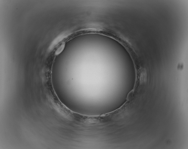 X0000111211448200907011432