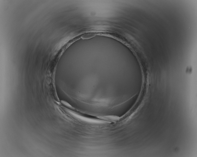 X0000111211449200907011432