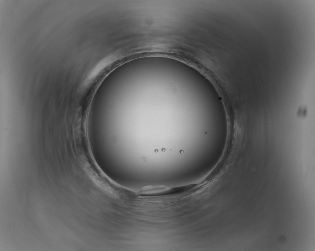 X0000111211450200907011432