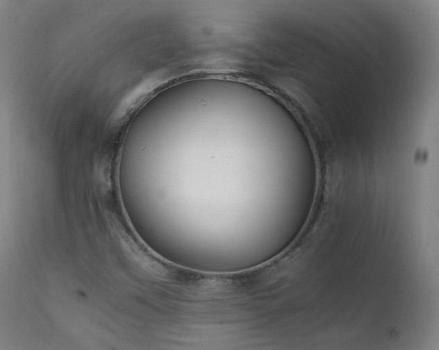 X0000111211451200907011432