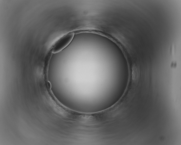 X0000111211452200907011432