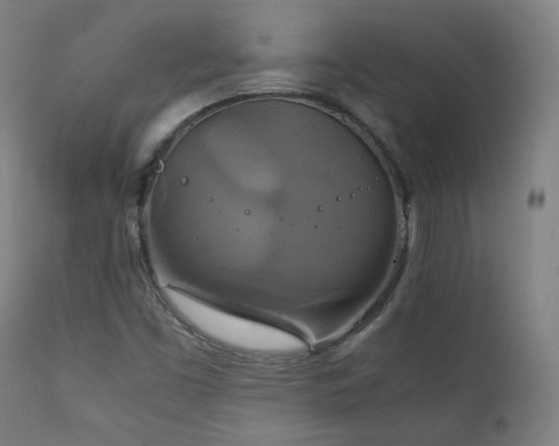 X0000111211453200907011432