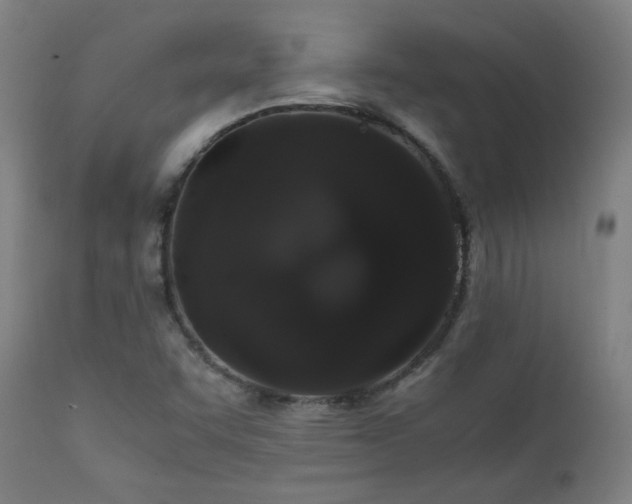 X0000111211455200907011432