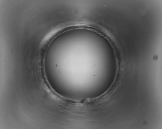 X0000111211456200907011432