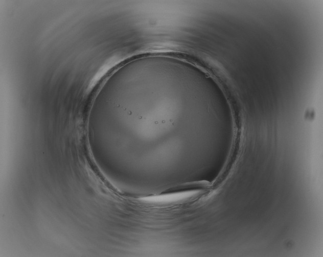 X0000111211457200907011432