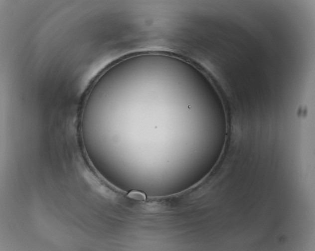 X0000111211460200907011432