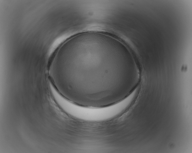 X0000111211461200907011432