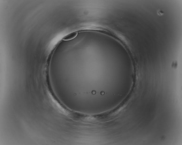 X0000111211463200907011432