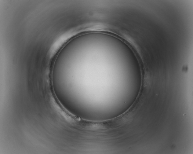 X0000111211464200907011432