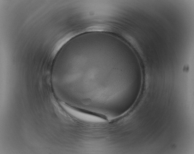 X0000111211465200907011432