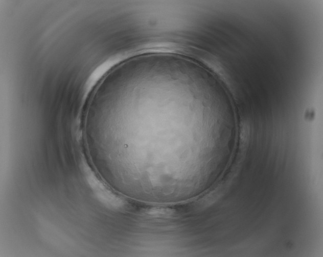 X0000111211466200907011432