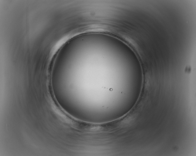 X0000111211467200907011432