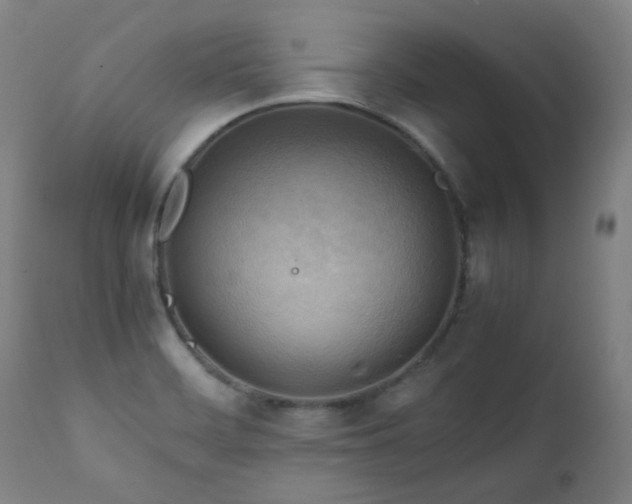 X0000111211468200907011432