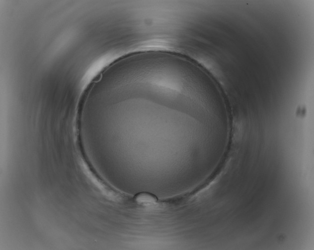 X0000111211469200907011432