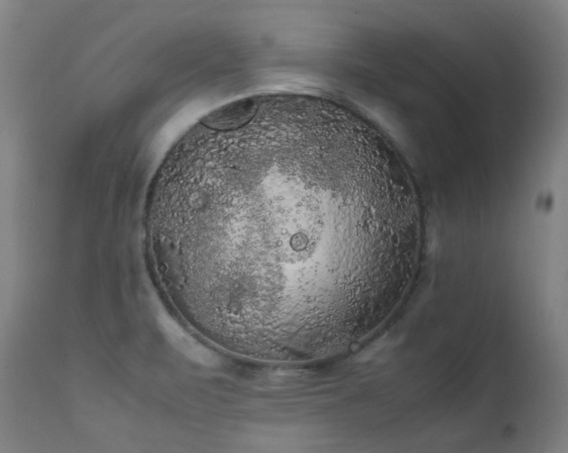 X0000111211471200907011432