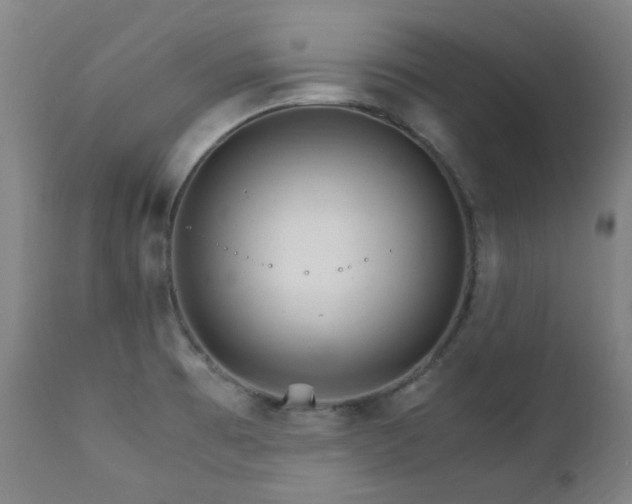 X0000111211473200907011432