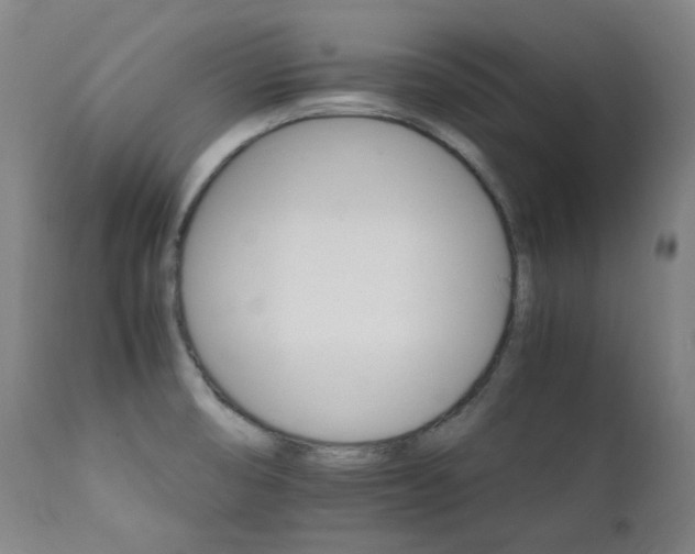 X0000111211474200907011432