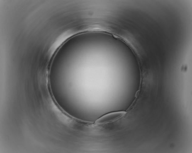 X0000111211476200907011432