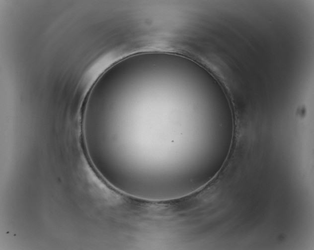 X0000111211479200907011431