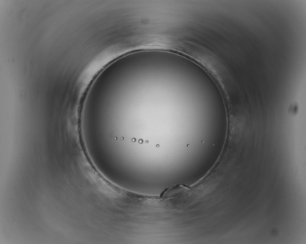 X0000111211480200907011431