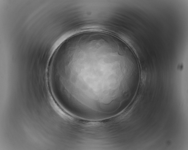 X0000111211482200907011431