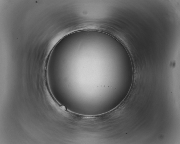 X0000111211483200907011431