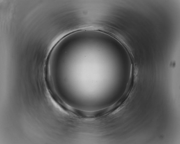 X0000111211484200907011431