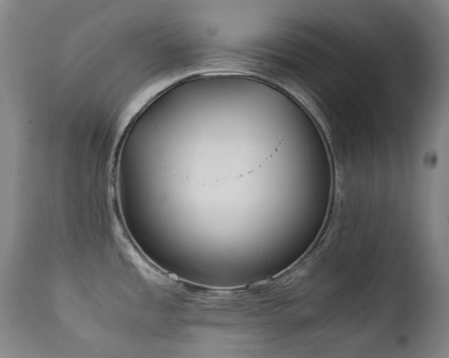 X0000111211485200907011431