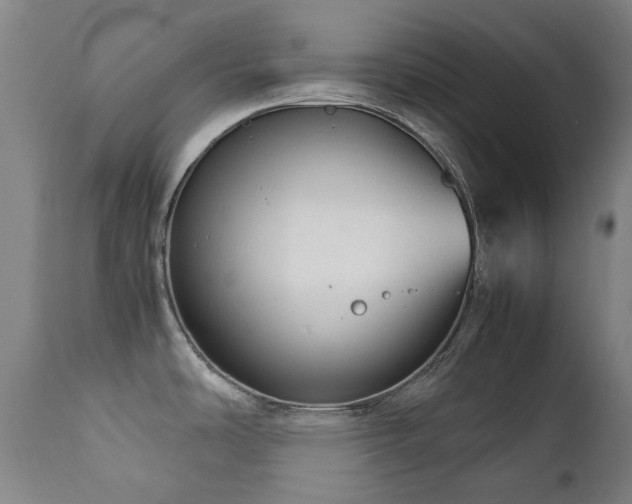 X0000111211486200907011431