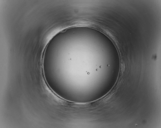 X0000111211487200907011431