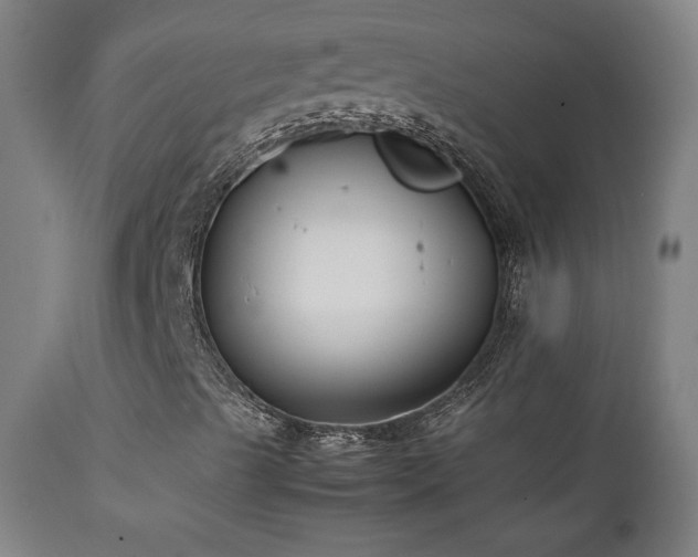 X0000111211489200907011431