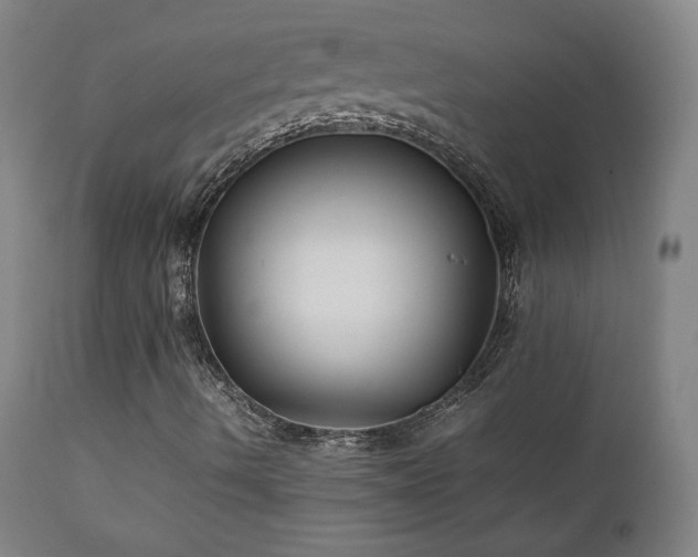 X0000111211490200907011431