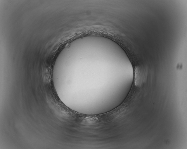 X0000111211491200907011431