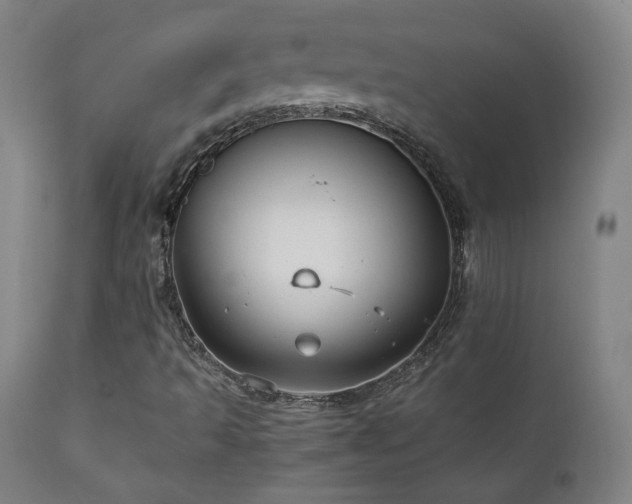 X0000111211493200907011431